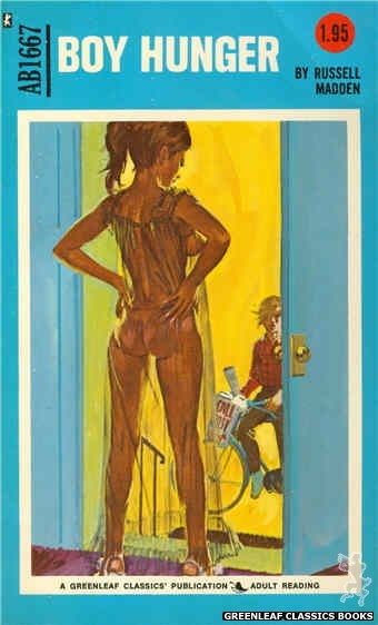 Adult Books AB1667 - Boy Hunger by Russell Madden, cover art by Unknown (1973)