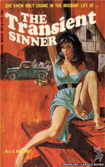 Leisure Books LB1123 - The Transient Sinner by J.X. Williams, cover art by Robert Bonfils (1965)