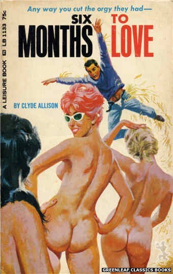 Leisure Books LB1133 - Six Months To Love by Clyde Allison, cover art by Robert Bonfils (1966)