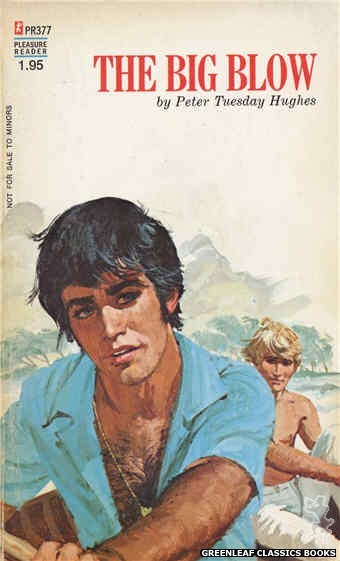 Pleasure Reader PR377 - The Big Blow by Peter Tuesday Hughes, cover art by Robert Bonfils (1972)